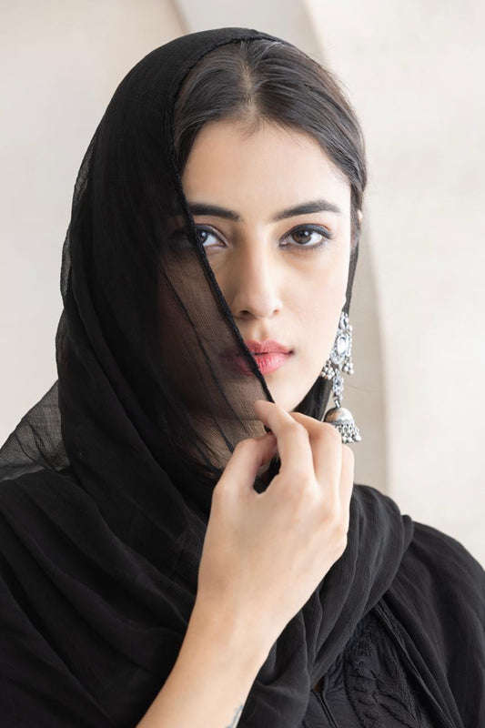 Noir Elegance Chikankari Anarkali Set with Dupatta